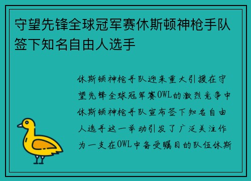 守望先锋全球冠军赛休斯顿神枪手队签下知名自由人选手